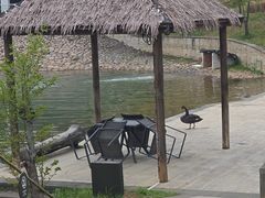 -中海·庐山西海君澜度假酒店·味屿全日制餐厅