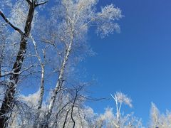 -中旅松花湖滑雪场