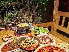 -青城甲(青城山店)