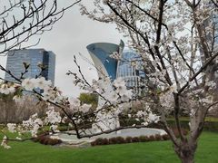 -大宁公园