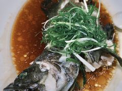 -老字号蛇口德记烧腊饭店·海鲜加工