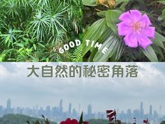 -广州市白云山风景名胜区