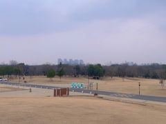 -盘龙城国家考古遗址公园