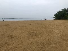 -瑶湖郊野森林公园