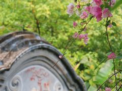 -深圳国际园林花卉博览园