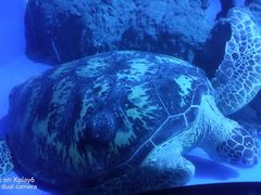 -成都浩海立方海洋公园