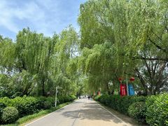 -安徽八里河旅游区