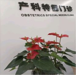 -天使医生VIP孕期孕检产检(市二医院店)