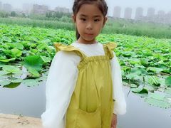 -前关湿地公园