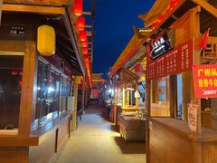-金塔沙漠胡杨林景区