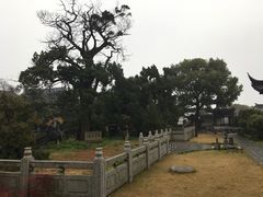 -司徒庙
