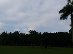 -万绿园