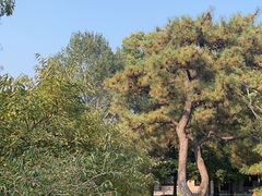 -国家植物园南园