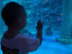 -芜湖新华联大白鲸海洋公园