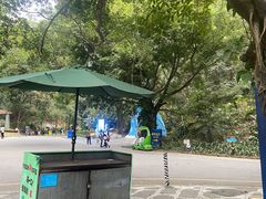 -深圳野生动物园