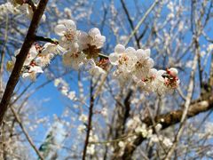 -广州市流溪河国家森林公园