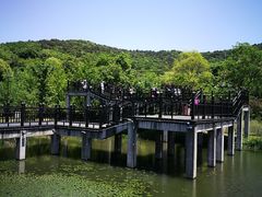 -石塘人家