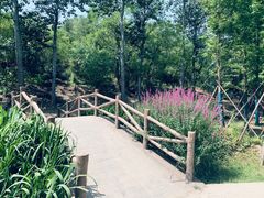 -白水寺森林公园