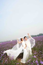 -完美新娘婚纱摄影