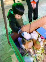 -酷嗒动物文化乐园(cutezoo西溪乐天城店)