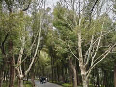 -东湖落雁景区