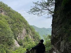 -洛阳白云山景区