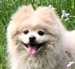 -飛凡TATTOO纹身•原创