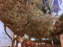 -星伦多 自助料理(圆融店)