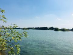 -贡湖湾湿地公园
