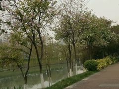 -怡海公园(桂城街道)