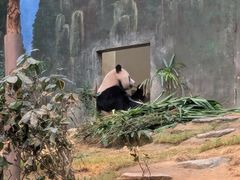 -香港海洋公园