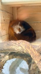 -Zoolung Zoolung动物主题公园(海信广场店)