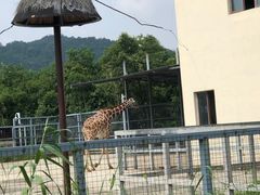 -上方山森林动物世界