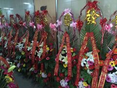-墨舞舞蹈(顾村公园店)