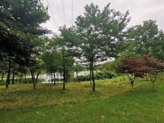 -尚贤河湿地