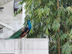 -西昌邛海宾馆