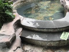-嘉悦汗蒸时代(曙光路店)