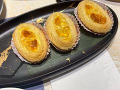 -点都德·毕德寮