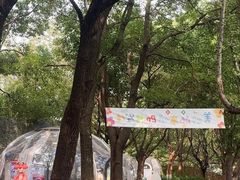 -哟吼艺术餐厅·亲子·生日宴