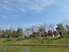 -上海海湾国家森林公园