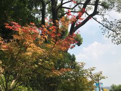 -杭州半山国家森林公园