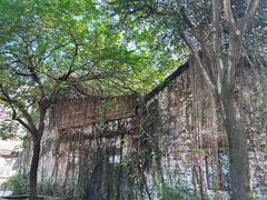 -伦教678文化街