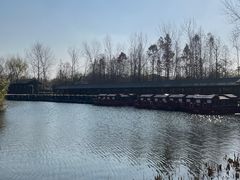 -溱湖国家湿地公园