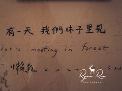 -懒鱼时光馆(沙坪坝店)