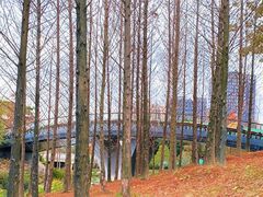 -牛岗山公园