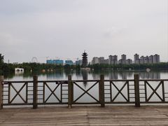 -洋湖国家湿地公园