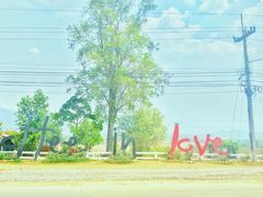 coffee&nbsp;in&nbsp;love-倒立小屋