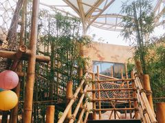 -杭州开元森泊度假乐园