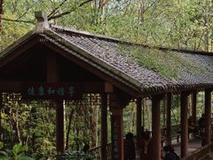 -重庆彩云湖湿地公园