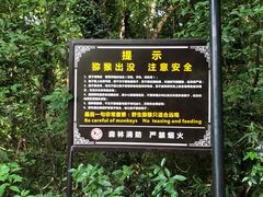 -苏州上方山国家森林公园